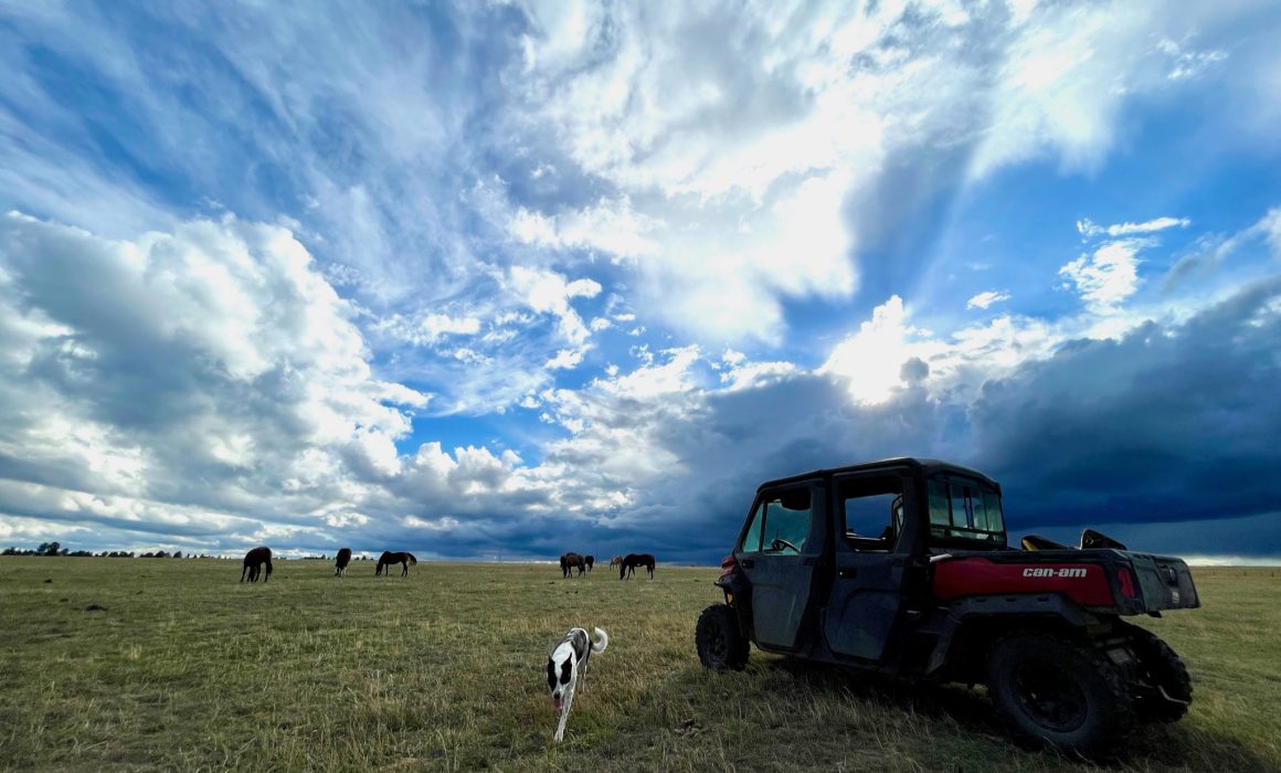 00AD7634-7DFC-4074-A57D-8415E0B6AFF4