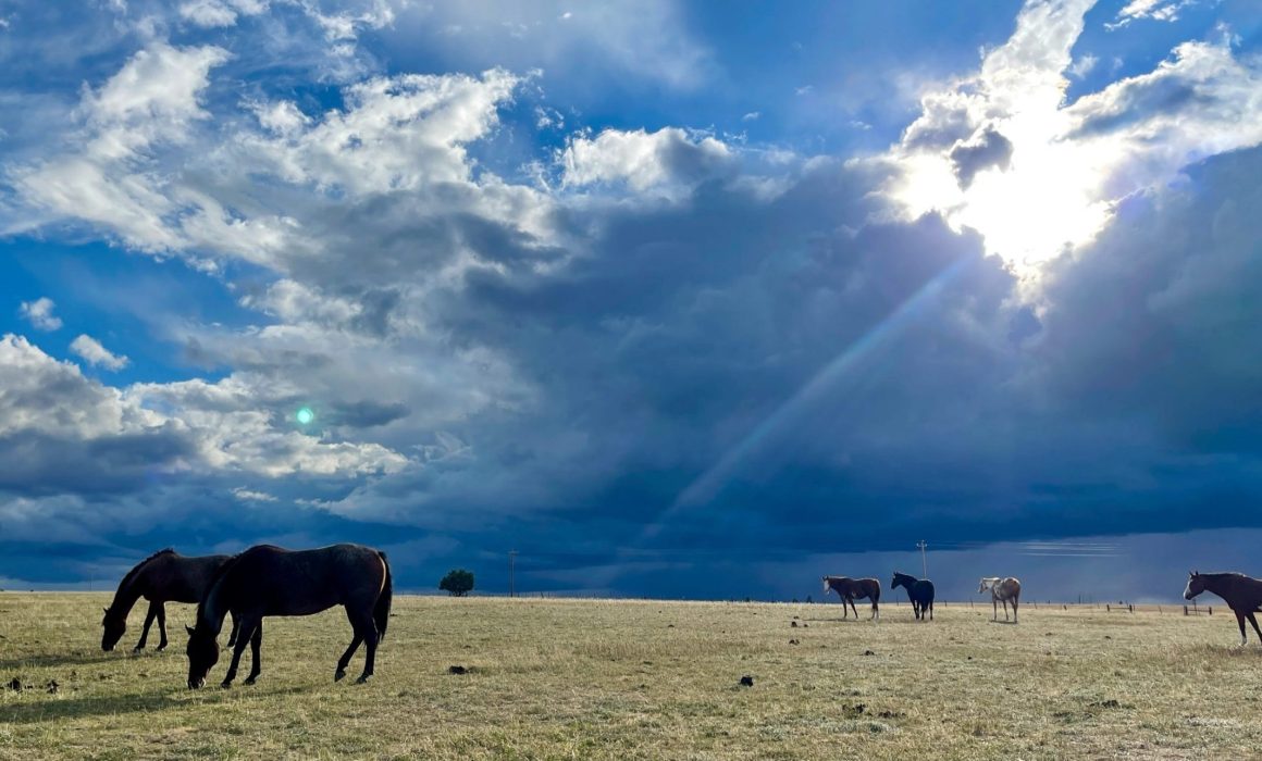 0B0D6A87-C43F-423D-A6A0-0F8C057C2CC7