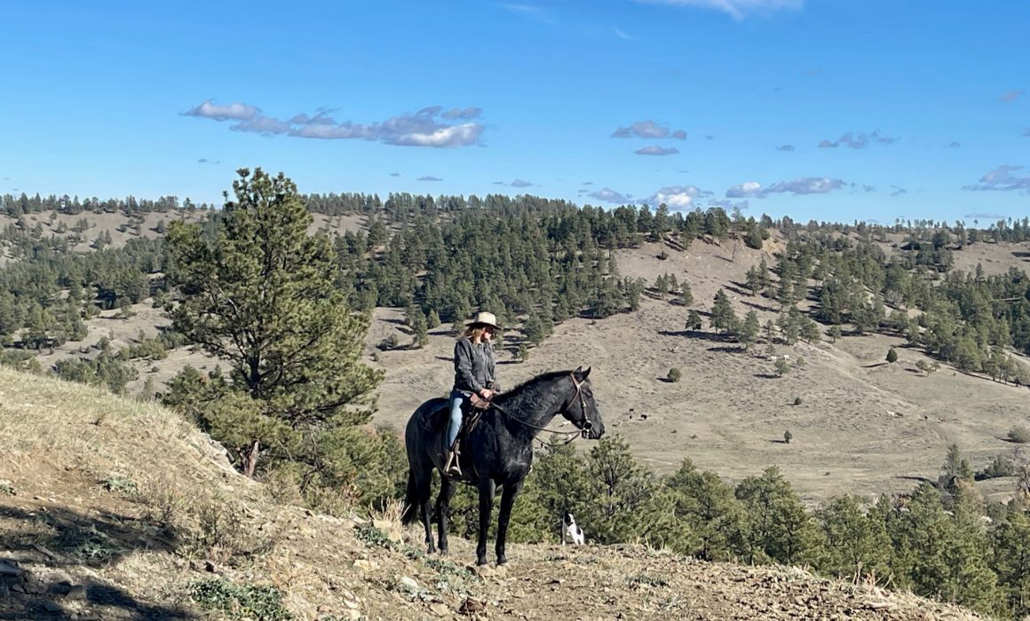 42947D3E-11DF-44F6-8C52-E013FB7CE83D