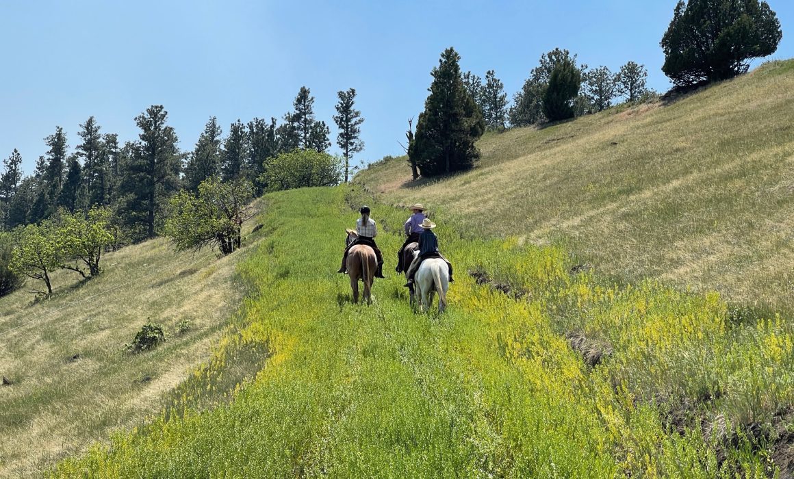 4AE55F2F-018F-4AD6-8F7F-6F3C00722BB5