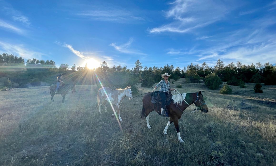 51F17374-BB96-44DA-998E-7C4943189FF5