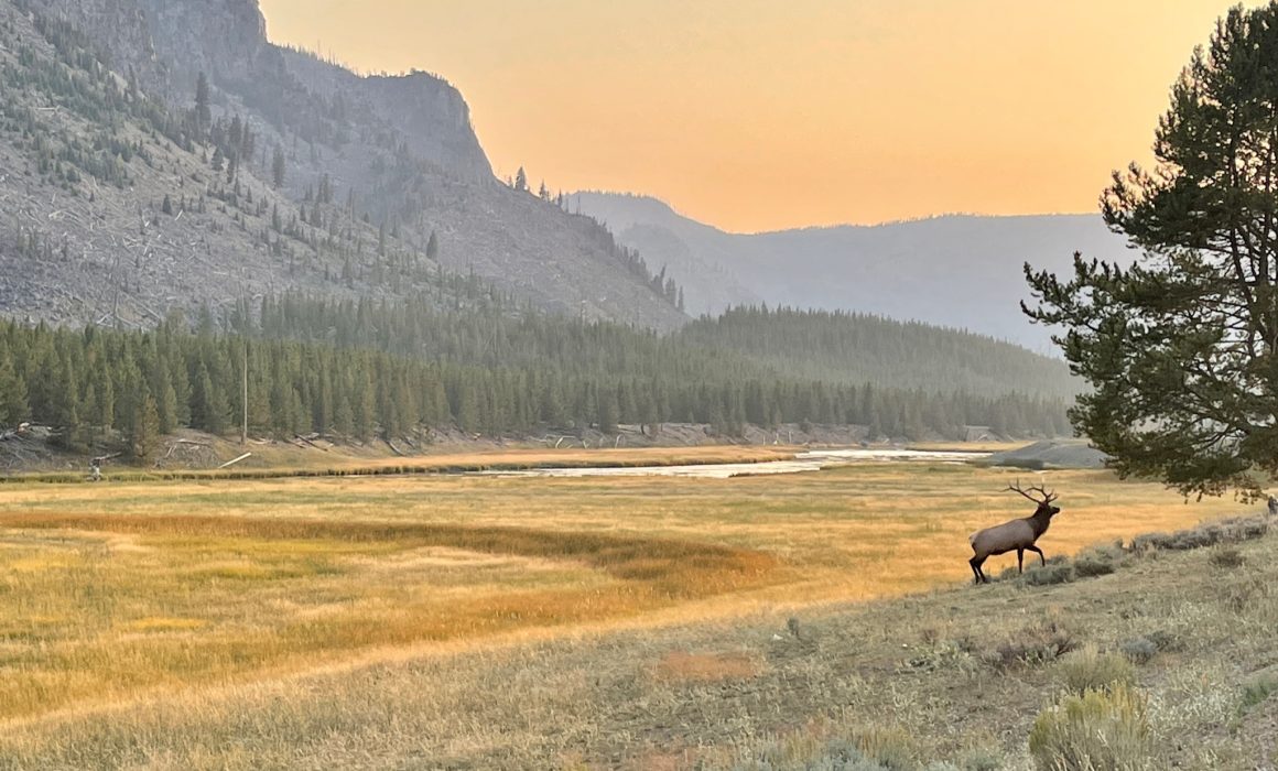 643CB32B-46B5-4039-AD77-4D978D839F94