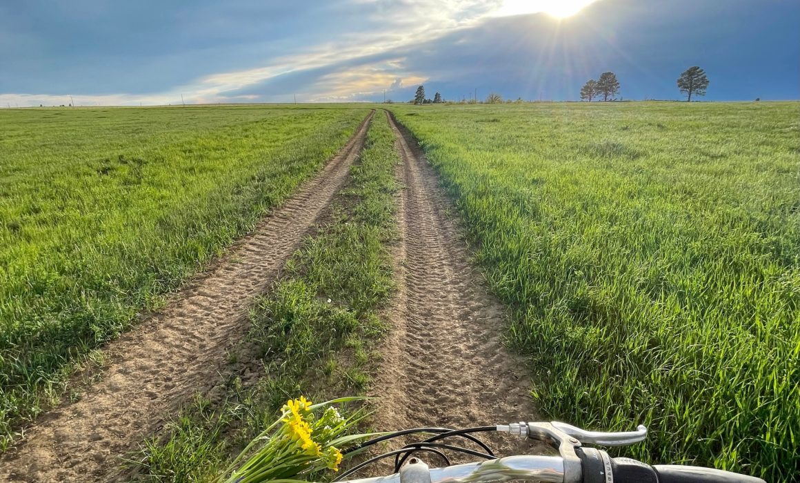 8AFD29C0-2C92-4D00-B81A-2D222C3812BC