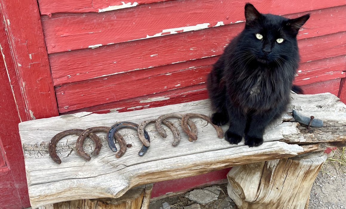 8E215A10-4369-4B00-A6EE-0915137A7FB8