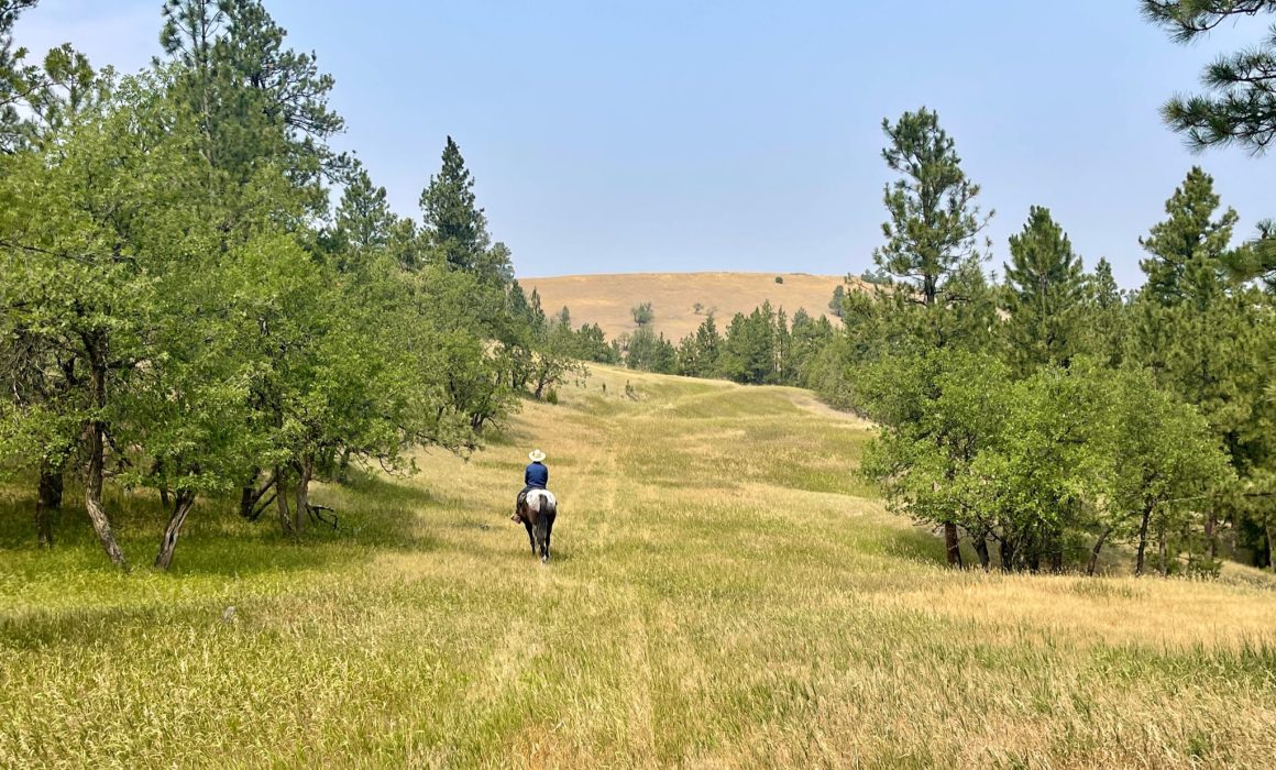 A834651C-836E-43D3-A857-C73498A6F9FC