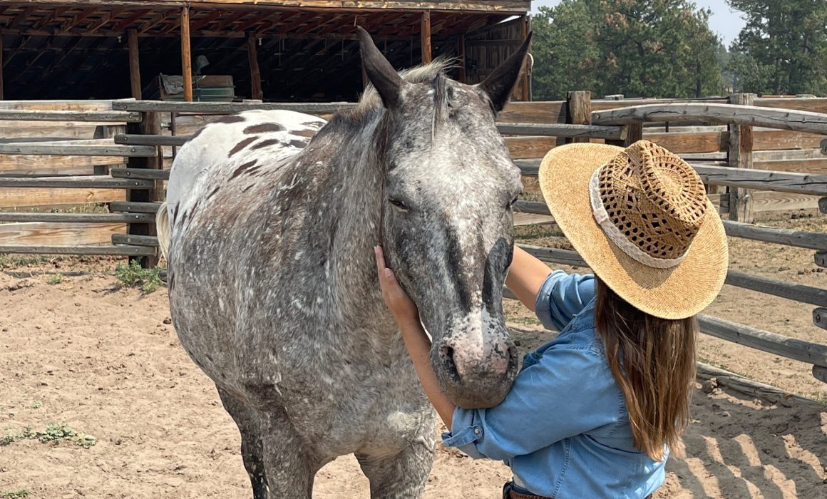 AFE8452B-E08D-458C-B794-A5480FE890A8