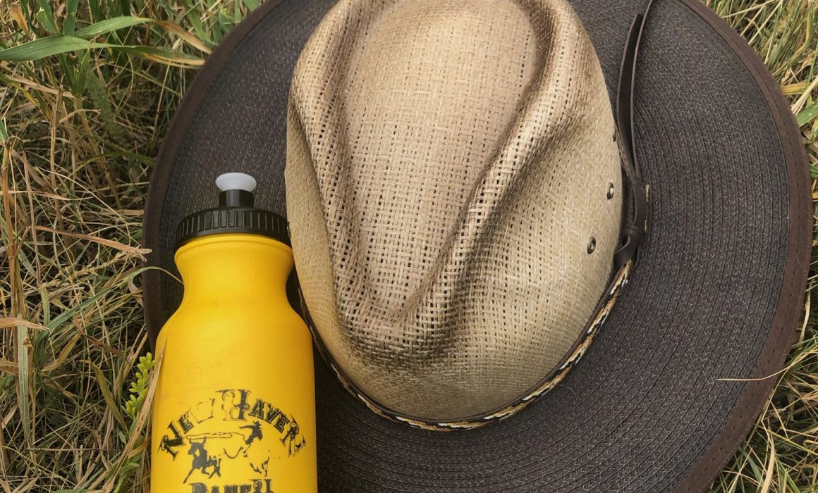 C5B9B143-54F9-4EBB-9F76-10DB762000A6