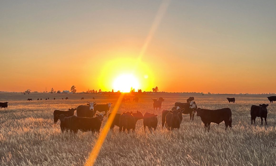 C77039A8-F720-4E59-BD6B-DE804BE473CD