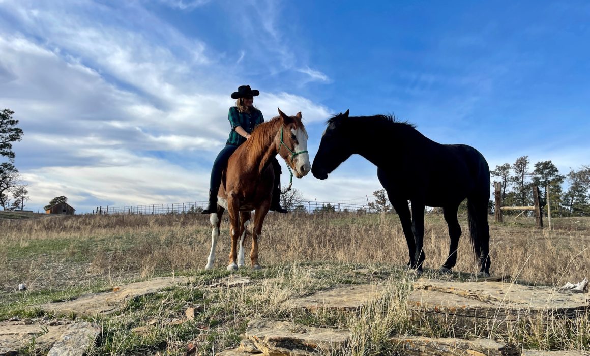 F6D749C1-0EBA-421E-A52D-8D0BEF997B85