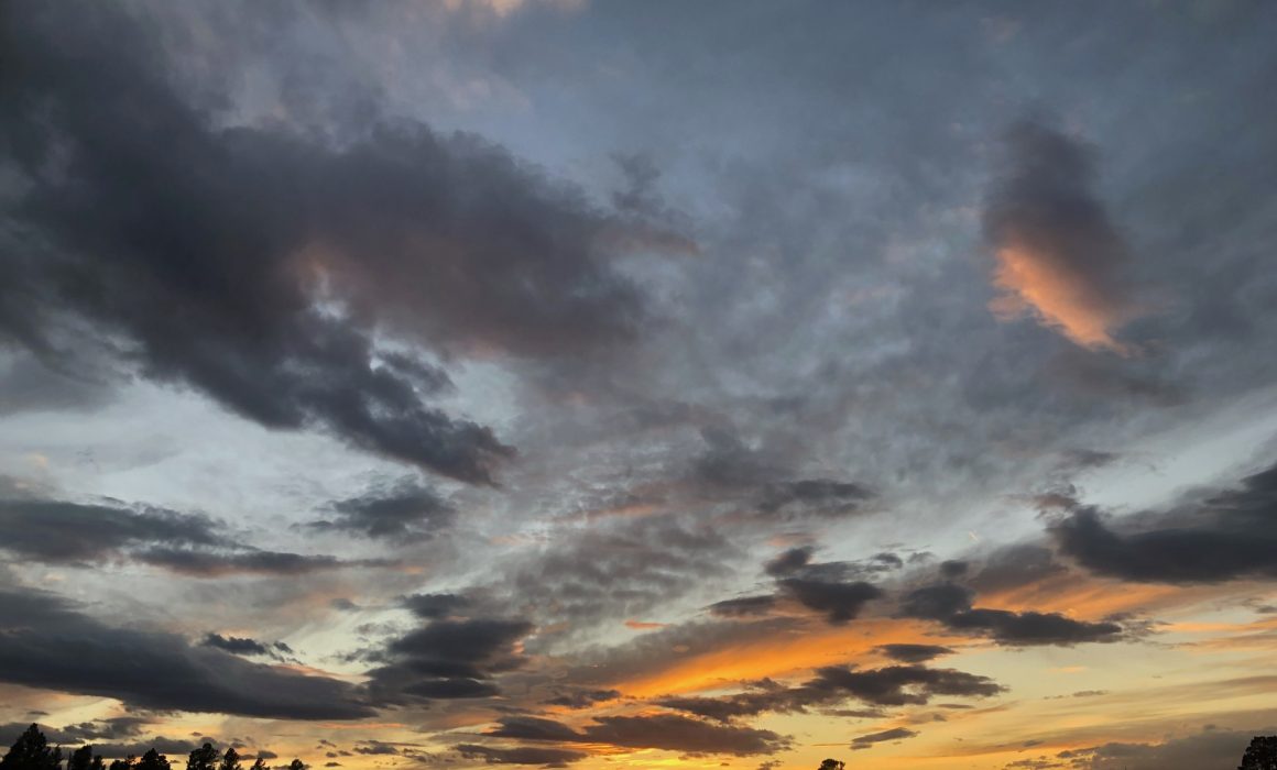 FA15C37D-0A93-4916-A741-58F57C1C9651